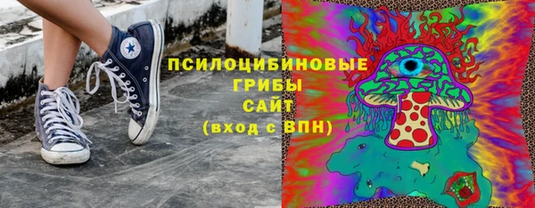 сатива Волоколамск