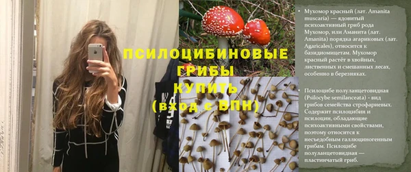сатива Волоколамск