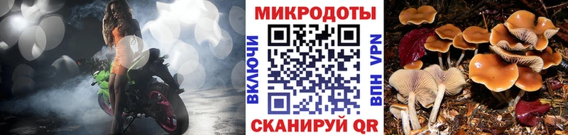 Галлюциногенные грибы Cubensis Купить закладки Гатчина